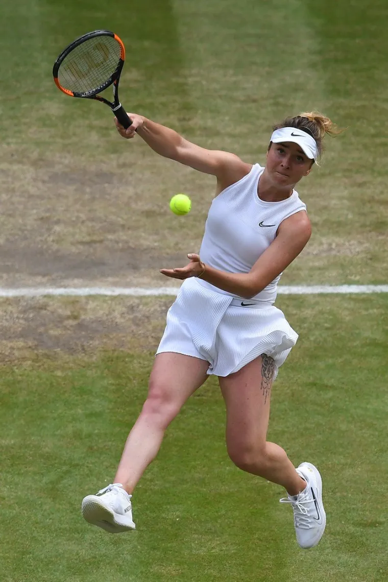 Tigar simbolizira njezin borbeni, ali opet graciozni teniski duh, kojim je došla na 8. mjesto WTA ljestvice svjetskih tenisačica.