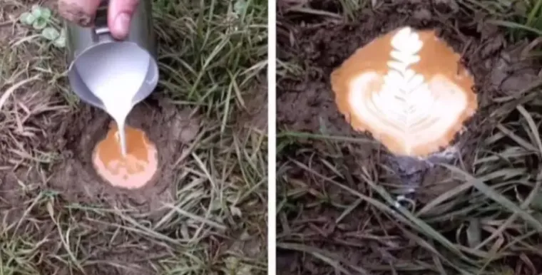 Fotografije koje će vas natjerati da preispitate svrhu ljudskog roda