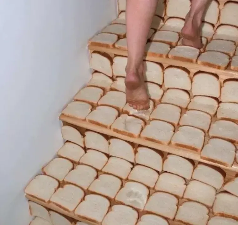 Fotografije koje će vas natjerati da preispitate svrhu ljudskog roda