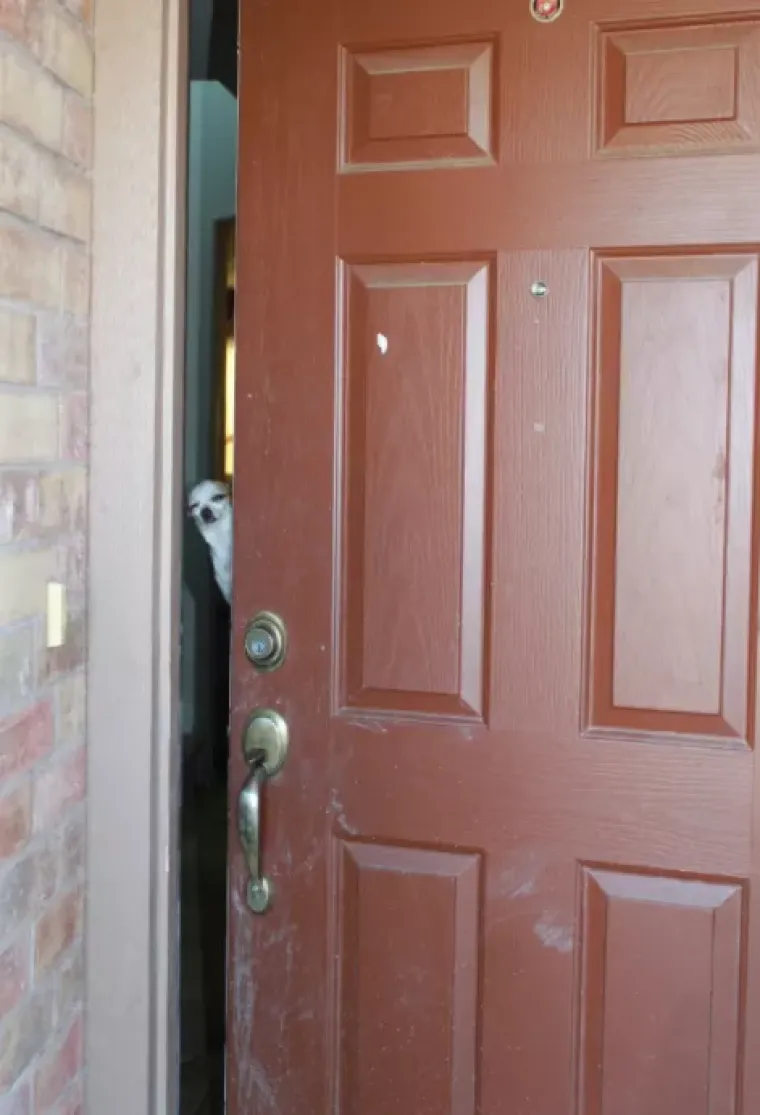 Fotografije koje će vas natjerati da preispitate svrhu ljudskog roda