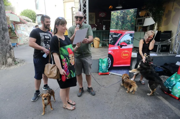 Koja je nju&scaron;ka najljep&scaron;a? Strossom pro&scaron;etali simpatični mje&scaron;anci