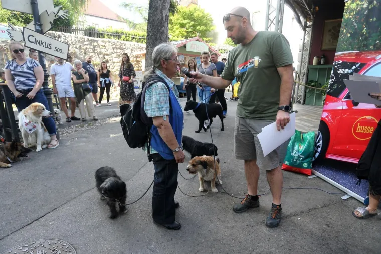 Koja je nju&scaron;ka najljep&scaron;a? Strossom pro&scaron;etali simpatični mje&scaron;anci
