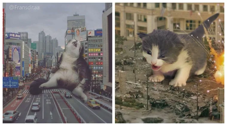 Fotografije ogromnih mačaka koje STVARNO nisu foto&scaron;opirane, vjerujte nam