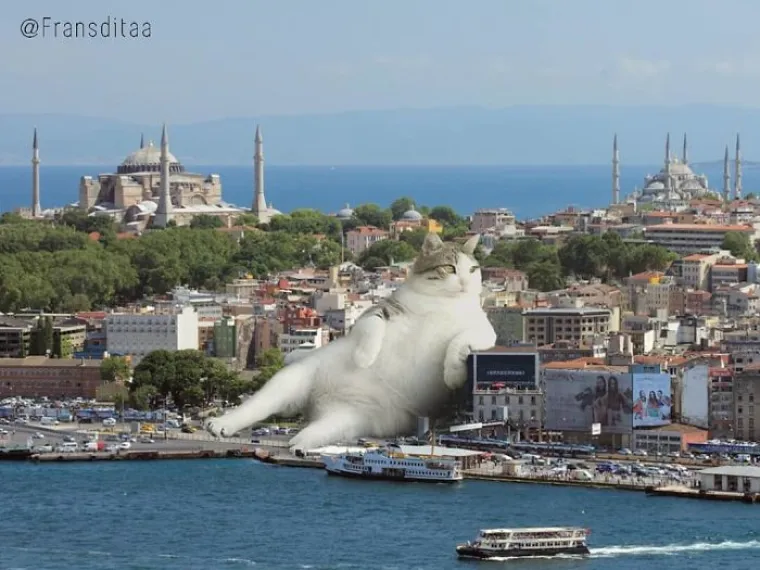 Fotografije ogromnih mačaka koje STVARNO nisu foto&scaron;opirane, vjerujte nam