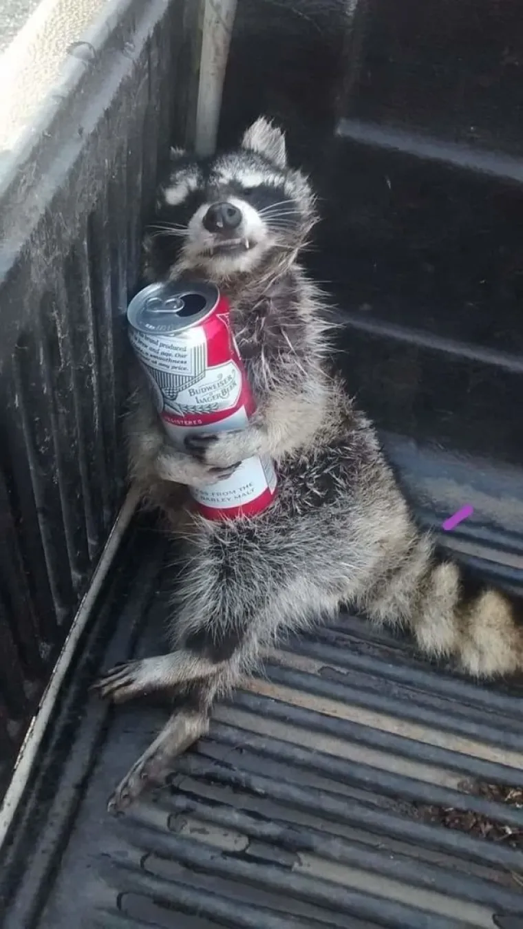 ONI SU IMALI NAJLUĐI VIKEND I TVRDE DA SE NE SJEĆAJU NIČEGA: Kad alkohol uzme stvar u svoje ruke...
