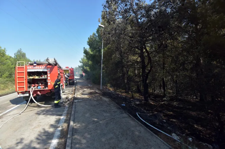 PLANUO VELIKI POŽAR U BLIZINI PLAŽE ZRĆE: Vatrogasci ga jutros stavili pod kontrolu
