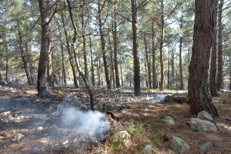 PLANUO VELIKI POŽAR U BLIZINI PLAŽE ZRĆE: Vatrogasci ga jutros stavili pod kontrolu