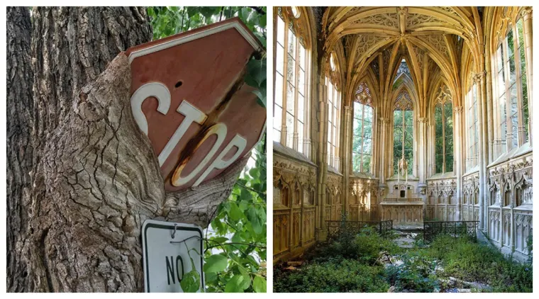 Priroda je nenadmašiva: Kako okoliš 'guta' ostatke civilizacije nakon što ljudi odu