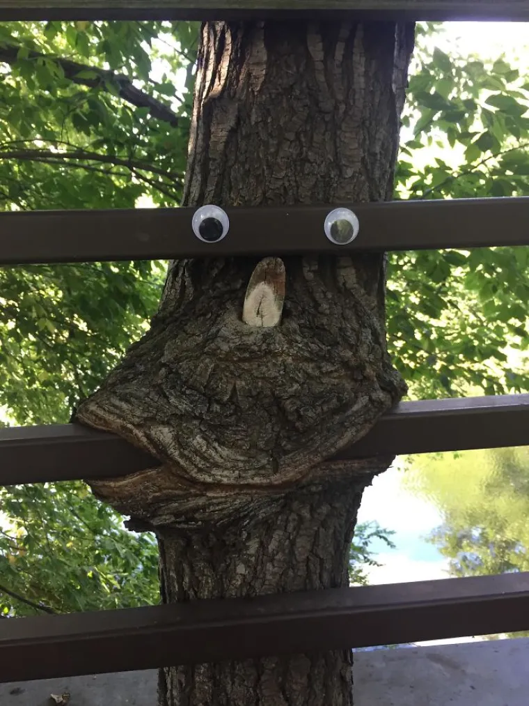 Priroda je nenadma&scaron;iva: Kako okoli&scaron; 'guta' ostatke civilizacije nakon &scaron;to ljudi odu