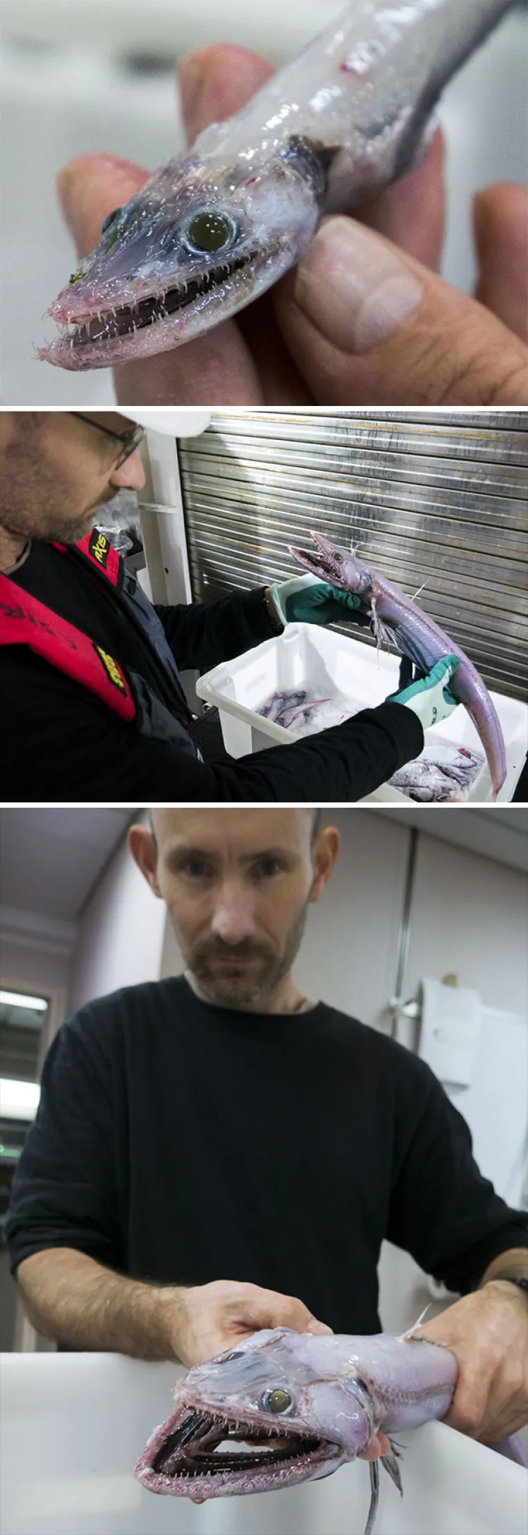 KAKO JE IJEDAN AUSTRALAC UOPĆE JOŠ UVIJEK ŽIV? Od ovih prizora imat ćete noćne more, a njima su k'o dobar dan