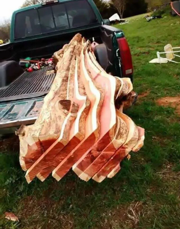 ZABRANJENA hrana koja izgleda preukusno, ali koju nipo&scaron;to ne smijete jesti