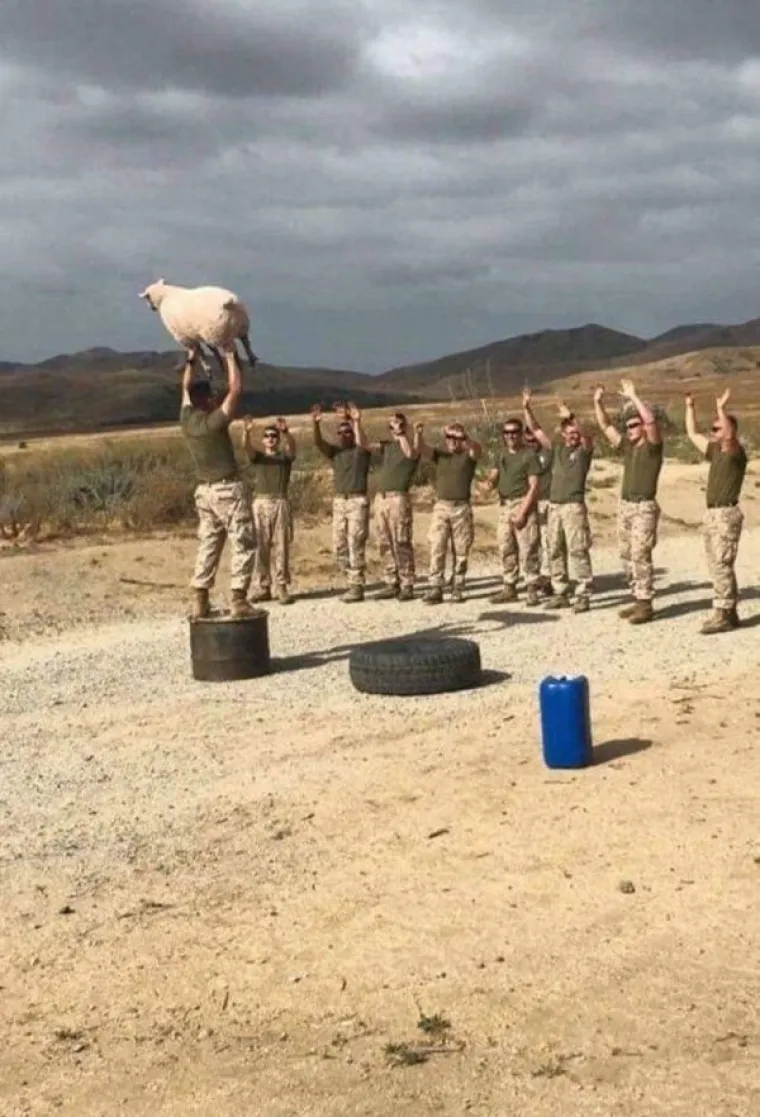 IMAMO TAKO PUNO PITANJA, A TAKO MALO ODGOVORA: Za&scaron;to je beba u lateksu? Gitara od slanine? Opasna kava...