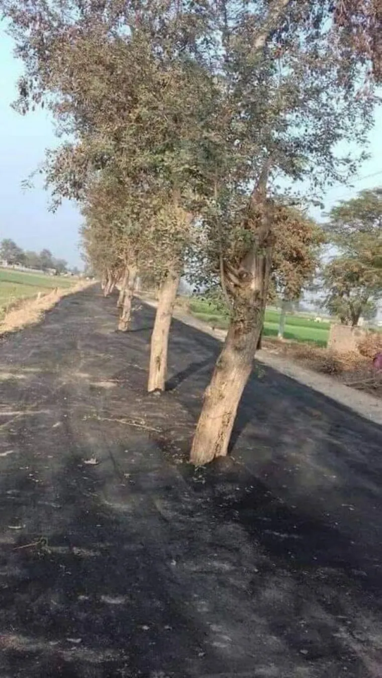 IMAMO TAKO PUNO PITANJA, A TAKO MALO ODGOVORA: Za&scaron;to je beba u lateksu? Gitara od slanine? Opasna kava...