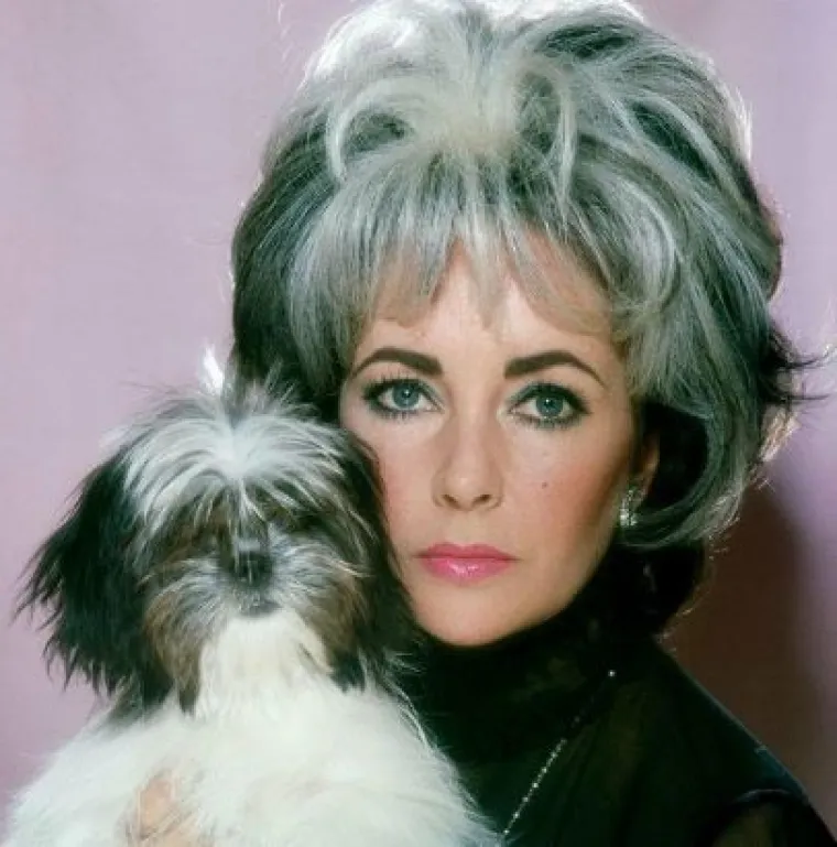 Preslatke fotografije koje dokazuju onu staru 'Kakav vlasnik, takav pas'