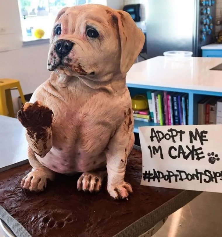 TORTE KOJE SU TOLIKO BRUTALNE DA BI NAM IH BILO ŽAO POJESTI: Slastičari su postali nova razina umjetnika