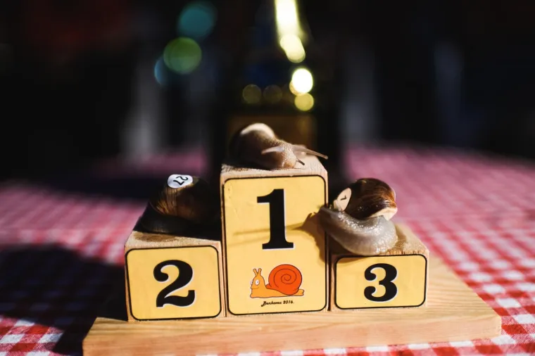 Uzbudljivo prvenstvo: U neočekivanom obratu titulu najbržeg osvojio puž iz staze 6