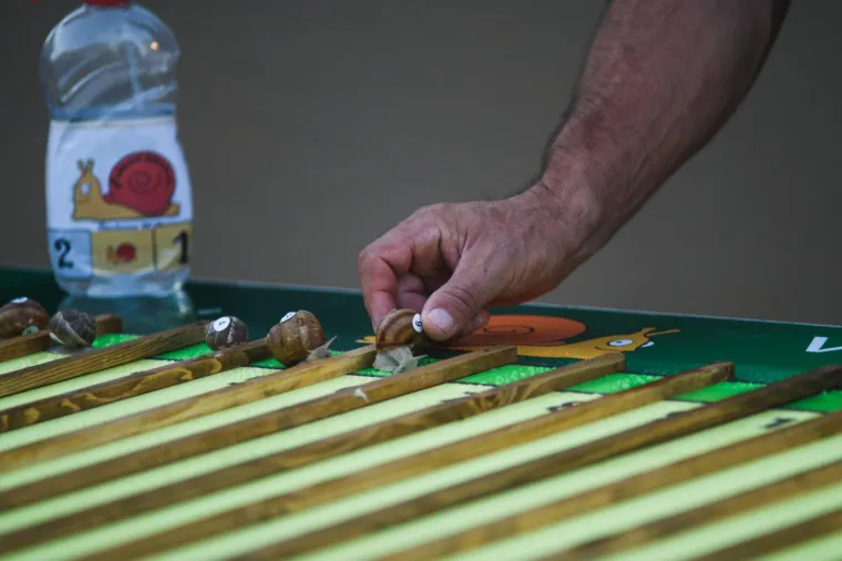 Uzbudljivo prvenstvo: U neočekivanom obratu titulu najbržeg osvojio puž iz staze 6