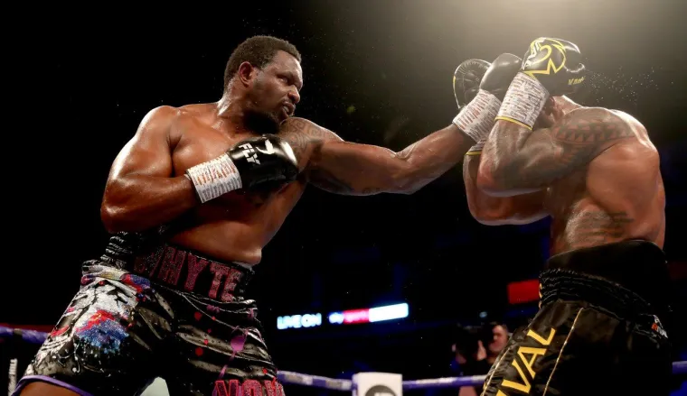 U 9. RUNDI BIO JE NA PODU, MIRISALO JE NA SENZACIJU: Ali, onda je ustao i krenuo u konačni obračun