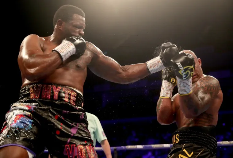 U 9. RUNDI BIO JE NA PODU, MIRISALO JE NA SENZACIJU: Ali, onda je ustao i krenuo u konačni obračun