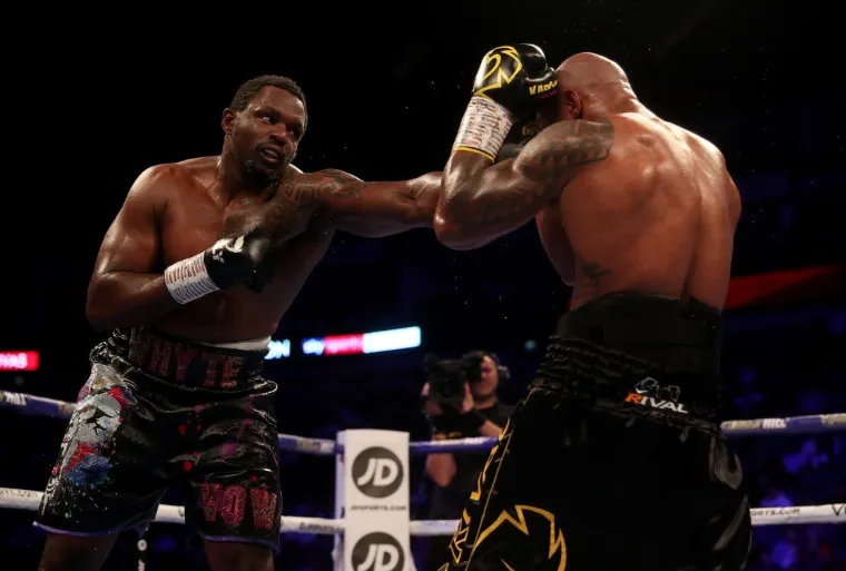 U 9. RUNDI BIO JE NA PODU, MIRISALO JE NA SENZACIJU: Ali, onda je ustao i krenuo u konačni obračun