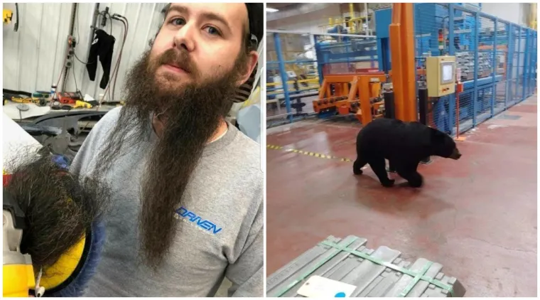 'Sigurnost je na prvom mjestu' reko&scaron;e svi poslodavci ovog svijeta u isti glas