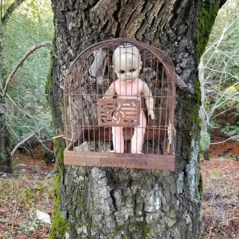 KRENULI SU NA KAMPIRANJE, ALI SU IH U &Scaron;UMI DOČEKALA BIZARNA IZNENAĐENJA: Biste li se usudili tu prenoćiti?