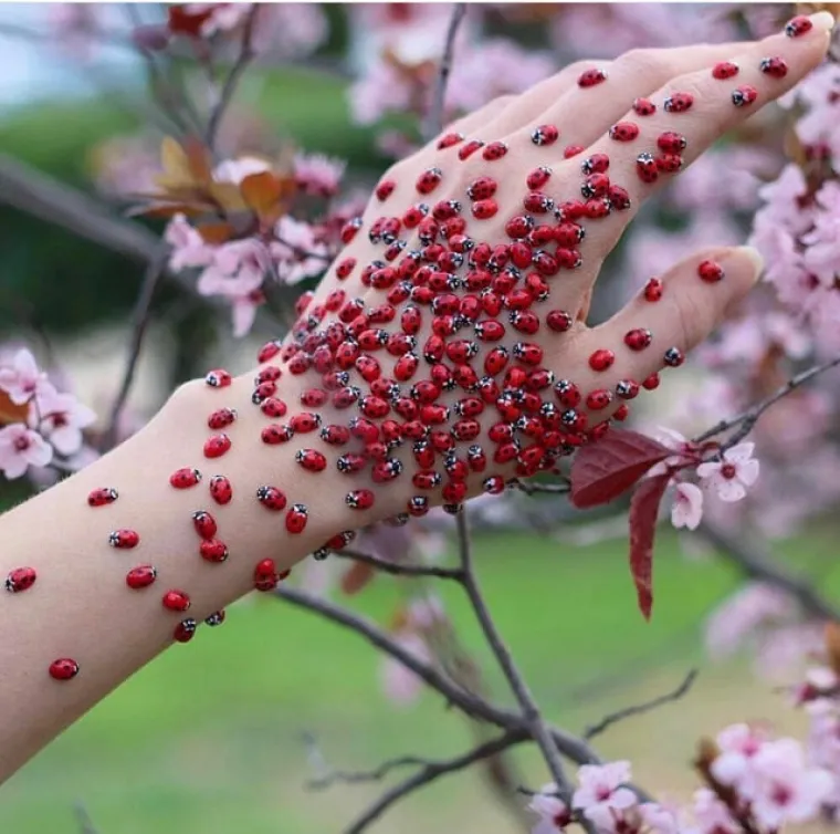 Bolujete li od tripofobije? Ove fotografije su nama zgadile život, tako da mi vjerojatno bolujemo