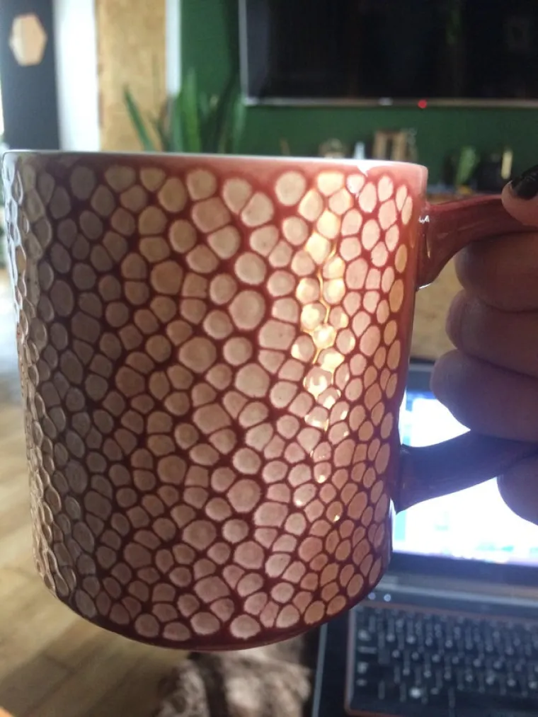 Bolujete li od tripofobije? Ove fotografije su nama zgadile život, tako da mi vjerojatno bolujemo