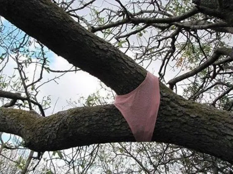 Ne, hvala: 24 fotografije koje su PUNO neugodnije nego što bi trebale biti