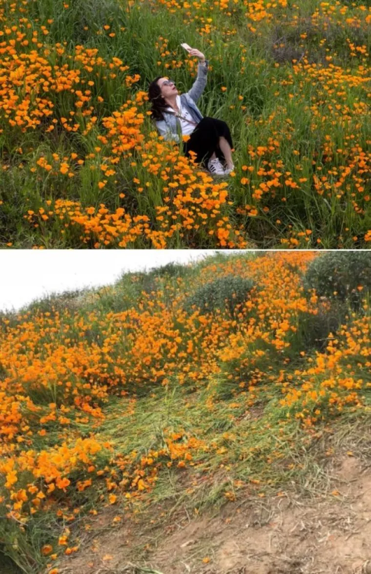 TE&Scaron;KO JE OBJASNITI PONA&Scaron;ANJE NEKIH LJUDI: Mislite da ste sve vidjeli? Varate se