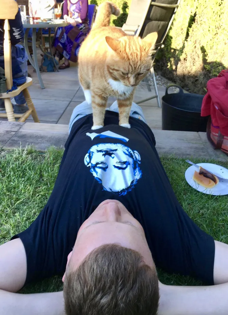 MAČKE SU KRALJICE SVEMIRA, A TO ZNAJU I NJIHOVI VLASNICI: Ovo su njihovi najbolji trenuci