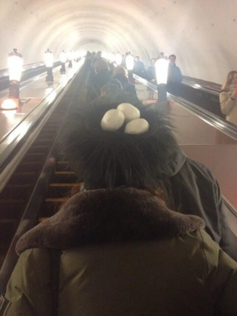 &Scaron;TO SE, DOVRAGA, OVDJE DOGAĐA? Ako se jo&scaron; smatrate normalnim, ovo će vas izbezumiti. Upozoreni ste!