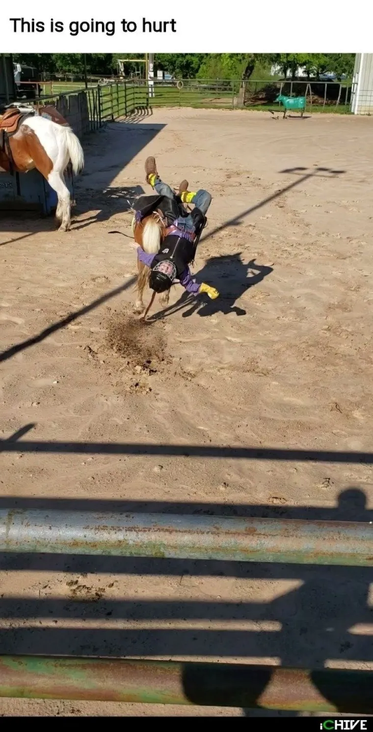 OVO SU NAJBOLJE TEMPIRANE FOTOGRAFIJE: Da biste ih shvatili, morat ćete pogledati dva puta. Najmanje