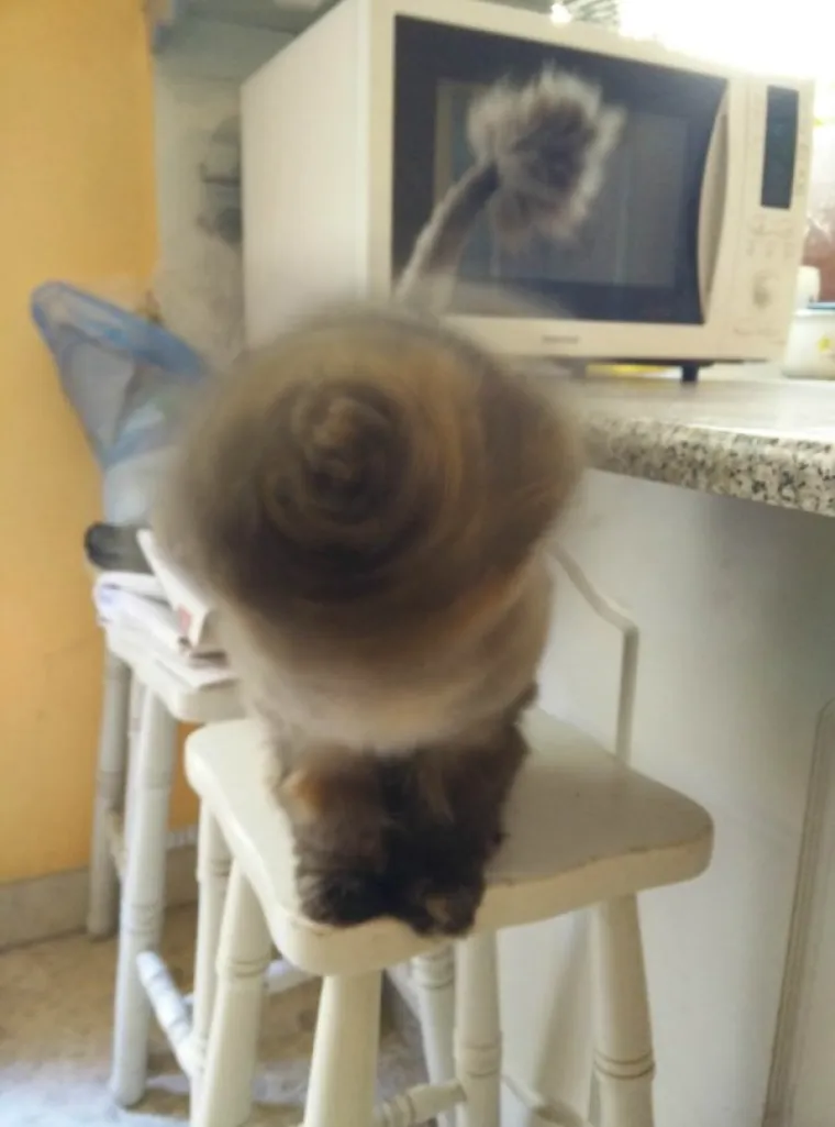 OVO SU NAJBOLJE TEMPIRANE FOTOGRAFIJE: Da biste ih shvatili, morat ćete pogledati dva puta. Najmanje