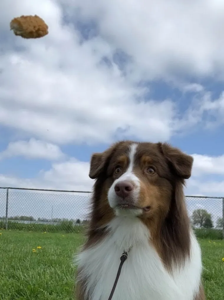 OVO SU NAJBOLJE TEMPIRANE FOTOGRAFIJE: Da biste ih shvatili, morat ćete pogledati dva puta. Najmanje