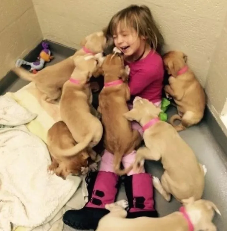 Trebali bismo se ugledati na njih: Ovim je ljubimcima ljubav najbitnija na svijetu