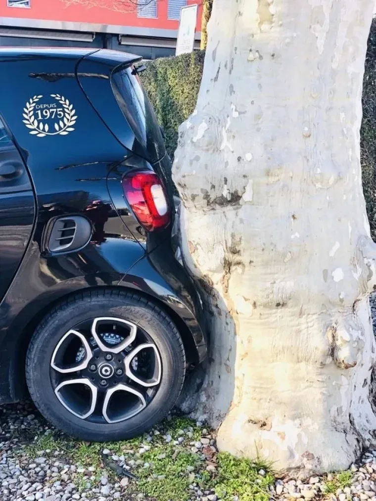 Ako imate OCD, odlijepit ćete na ove slike stvari koje su toliko savršene da su erotične