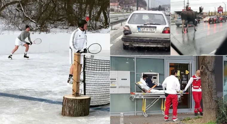 'Dakle, &scaron;to je ovo?':15 fotografija na kojima nitko ne zna &scaron;to se događa