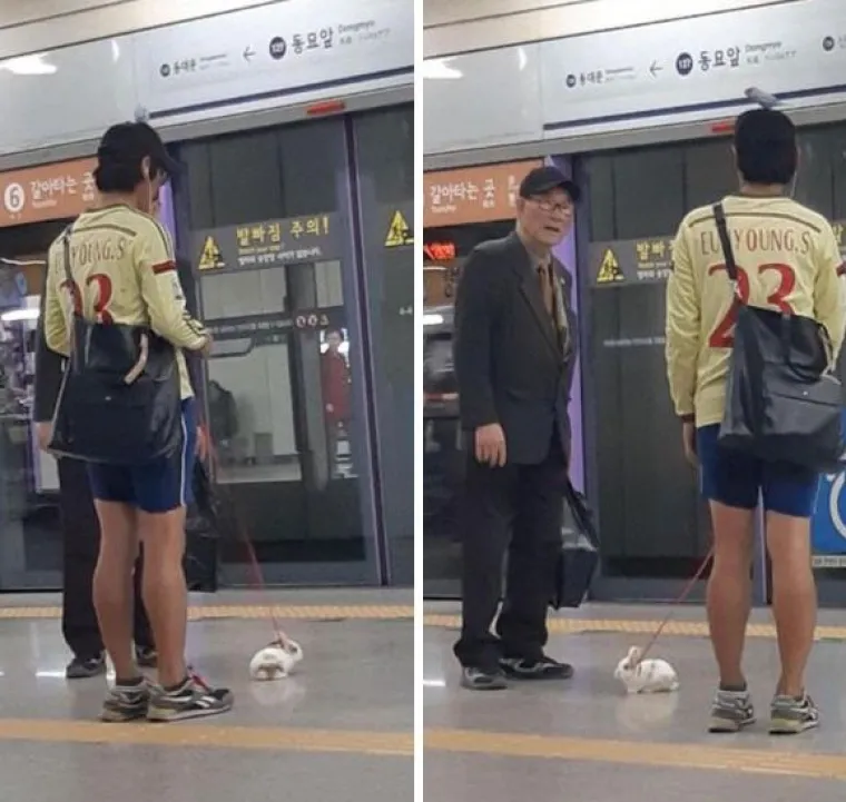 'Dakle, &scaron;to je ovo?':15 fotografija na kojima nitko ne zna &scaron;to se događa