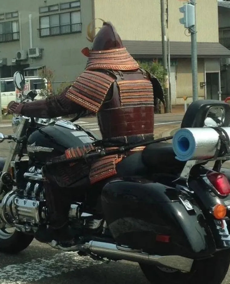 'Dakle, &scaron;to je ovo?':15 fotografija na kojima nitko ne zna &scaron;to se događa