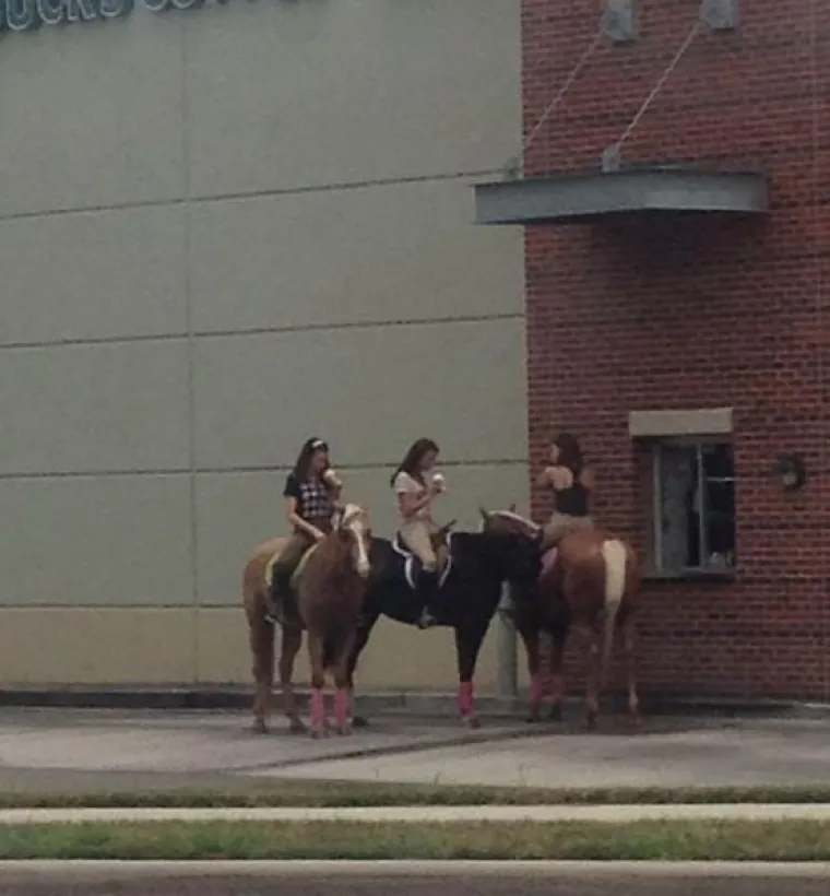 'Dakle, &scaron;to je ovo?':15 fotografija na kojima nitko ne zna &scaron;to se događa