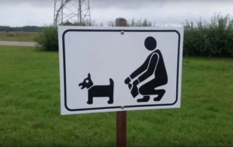 JO&Scaron; 15 fotografija na kojima nitko ne zna &scaron;to se i za&scaron;to događa