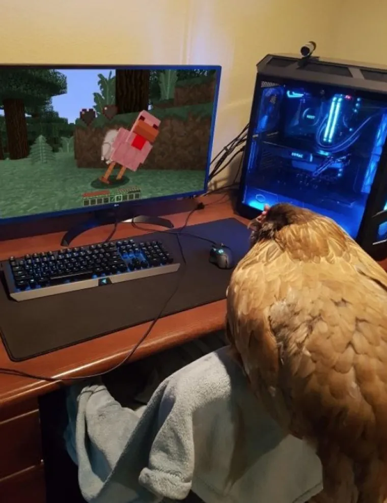 JO&Scaron; 15 fotografija na kojima nitko ne zna &scaron;to se i za&scaron;to događa