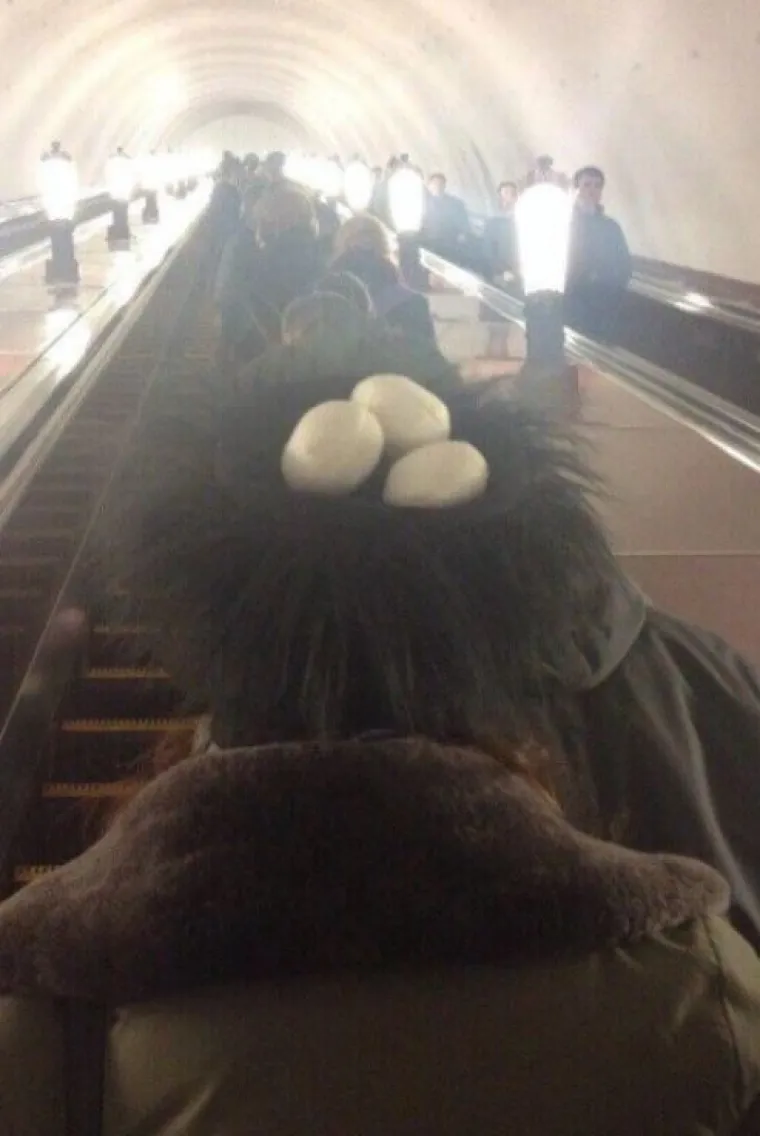 JO&Scaron; 15 fotografija na kojima nitko ne zna &scaron;to se i za&scaron;to događa