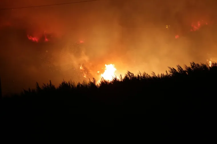 Foto: Du&scaron;ko Jaramaz/PIXSELL