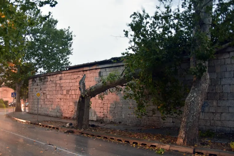 27.07.2019., Pula - U večernjim je satima Pulu i širu okolicu zahvatilo nevrijeme te je na više lokacija došlo do lomova stabala. Veliko stablo na bulevaru puklo je po pola. Foto: Duško Marušić/PIXSELL