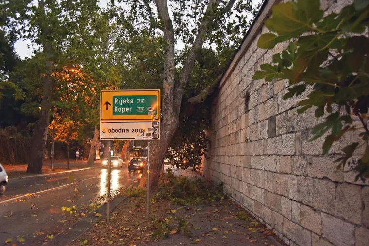 Foto: Duško Marušić/PIXSELL
