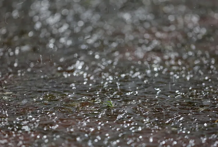 STOTINJAK BOYSA OSTALO PRED STADIONOM: Podigli poruku poginulom hrvatskom sinu koja dira ravno u srce