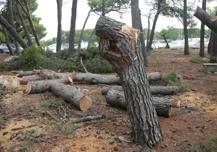 Olujno nevrijeme poharalo Jadriju: Stabla o&scaron;tetila vikendice, stanari prestravljeni