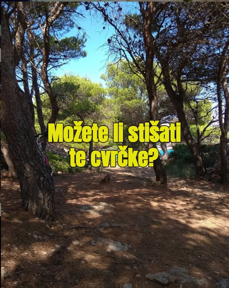 'Briju li se vaše žene?': Najčudnija pitanja koja nam turisti znaju postaviti